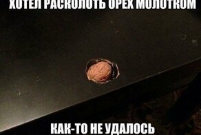 Смешные картинки с надписями