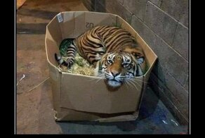 Свежая подборка демотиваторов, которые поднимут вам настроение