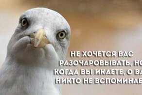 Глупости и различные высказывания из социальных сете