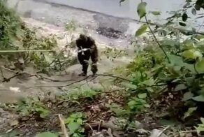 Как военнослужащие пива попить пытались