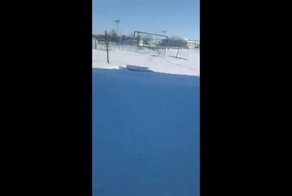 Медведь, вылезай! Цепной пёс выбирается из своей будки после сильного снегопада