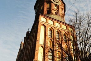 Переезд в Калининград из Сибири. Первые впечатления