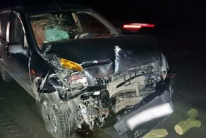 Авария дня. Женщина врезалась в прицеп с дровами