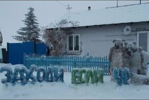 Фото приколы и гифки