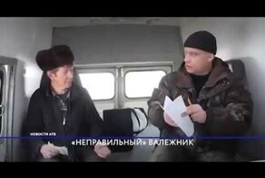 Штрафы за валежник