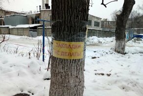 Фотоприколы