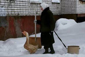 Удивительные снимки с российских просторов или такое возможно только в России
