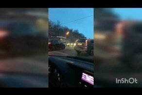 Стань «живым щитом»