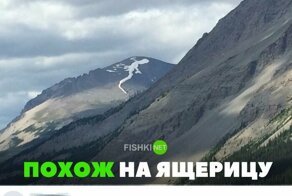 Картинки с надписями для настроения
