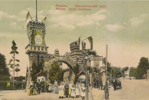 По улицам слона водили: удивительная история Московского зоопарка