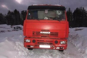 В Марий Эл во время буксировки лесовоза погиб водитель