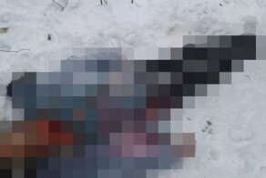 Обглоданное животными тело женщины нашли в Ростовской области