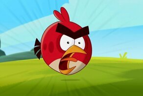 Самая популярная зимняя птица америки