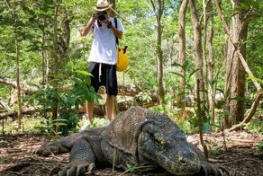 5 животных родом из другой эры, которые дожили до нашей