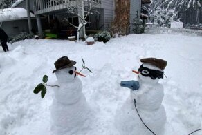 Фотоподборка за 14.02.2019