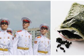 Ульяновские суворовцы могли подхватить опасных личинок через насвай