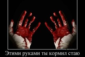 Смертельные случаи в результате нападения бездомных собак на людей в России с 2001 года