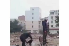 Угарные видосики