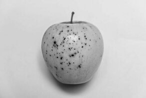 Красота человеческого тела в сочетании с элементами природы