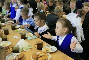 Чем нас кормят?