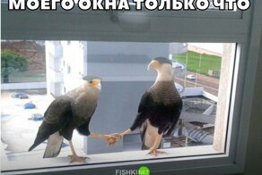Картинки с надписями для настроения