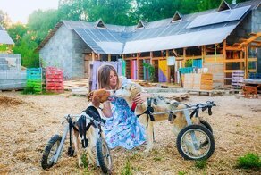 Известный московский фотограф уехала в лес, чтобы помогать животным