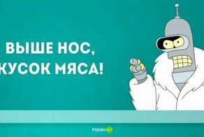 Инструкция по эксплуатации и утилизации вашего человеческого тела. Прямой эфир на Fishki.net
