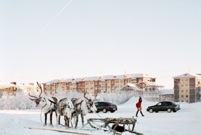 Пссс, парень, не хочешь немного Воркуты?