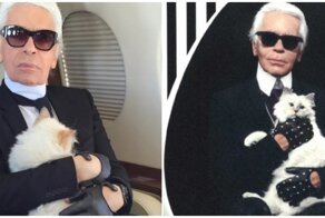 Часть наследства покойного Лагерфельда достанется его любимой кошке