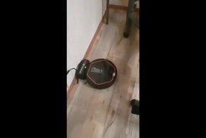 Говорящий умный пылесос или будущее ближе, чем вы думаете