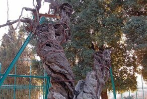 Мир получил новое предупреждение о грядущем конце света