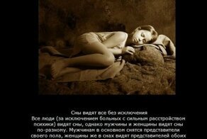 Интересные факты про сон