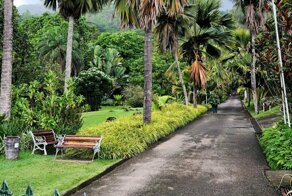 Сейшельские острова. Часть 3