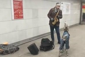 Собака в столичном метро подвыла под хит Джеймса Брауна и заработала кучу денег