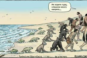 15 картинок о том, как работает эволюция