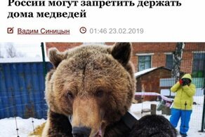 Самые свежие новости с сарказмом ORIGINAL* 26/02/2019
