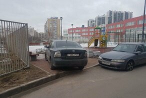 В Петербурге жители воспитали невежливого парковщика