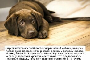 Родители рассказали о пугающих высказываниях своих детей