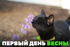 Картинки с надписями для настроения