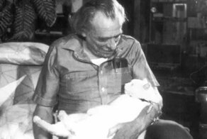 История одного упрямого сукина сына