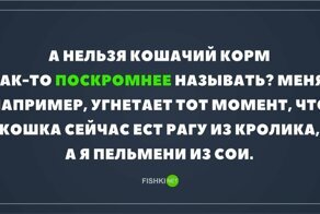 То чувство, когда кот с собакой кушают лучше тебя