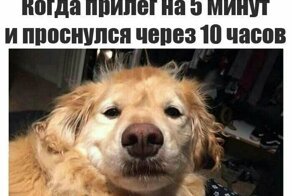 Всякая жизненная всячина
