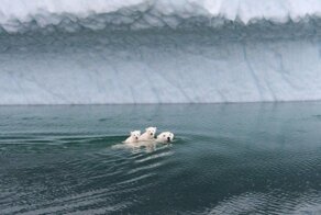 Фотоподборка за 04.03.2019