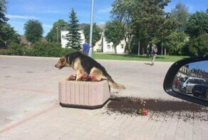 22 смешные ситуации, на которых запечатлен настоящий кайф