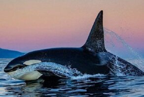 Фотоподборка за 05.03.2019