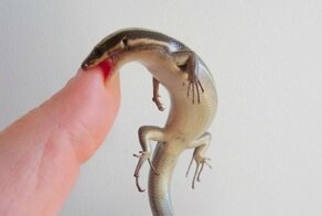 Фотоподборка за 06.03.2019