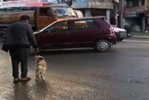 Хороший мальчик переводит своего хозяина через оживлённую дорогу в Непале