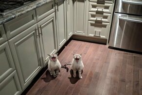 Фотоподборка за 07.03.2019