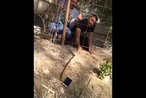 Лучший друг всегда придет на помощь 