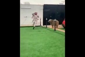 У арабов какое-то особое отношение к собственной жизни